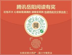 岳阳市最新爆料消息,揭秘城市热点事件背后的真相  第3张