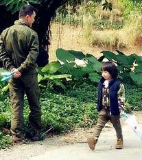 鹰潭虎岭村长爆料视频,揭秘乡村发展背后故事  第3张